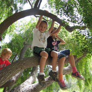 Palos Verdes Hills Nursery School