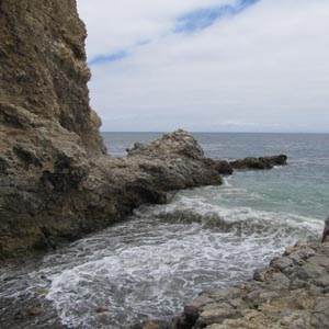 Ocean