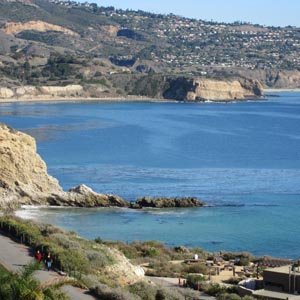 The Cove